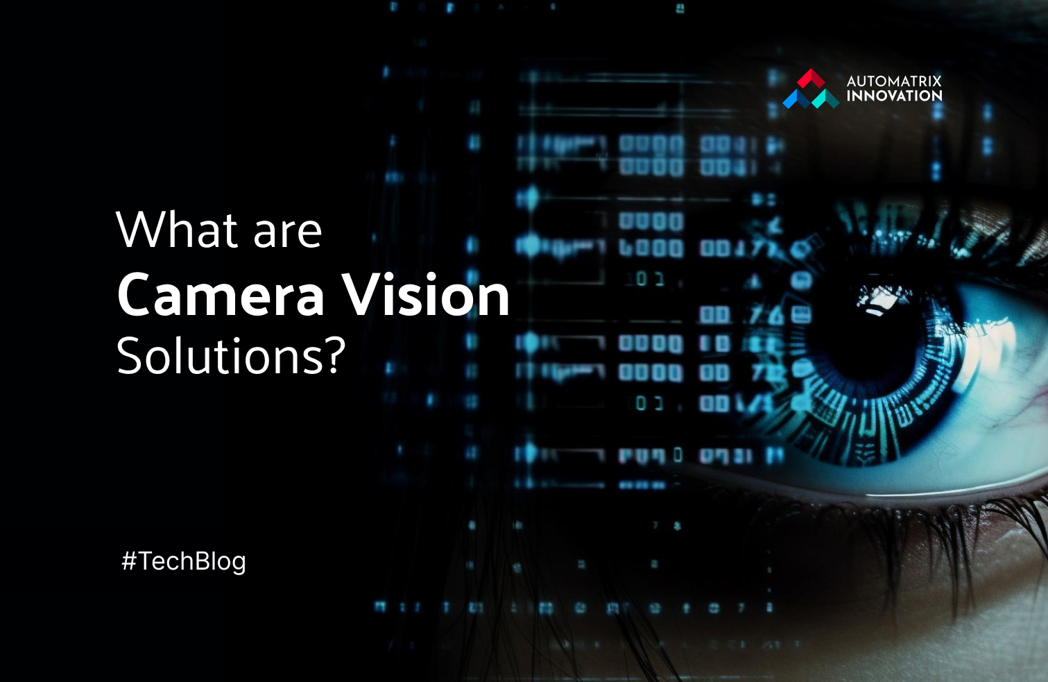 What are Camera Vision Solutions?
