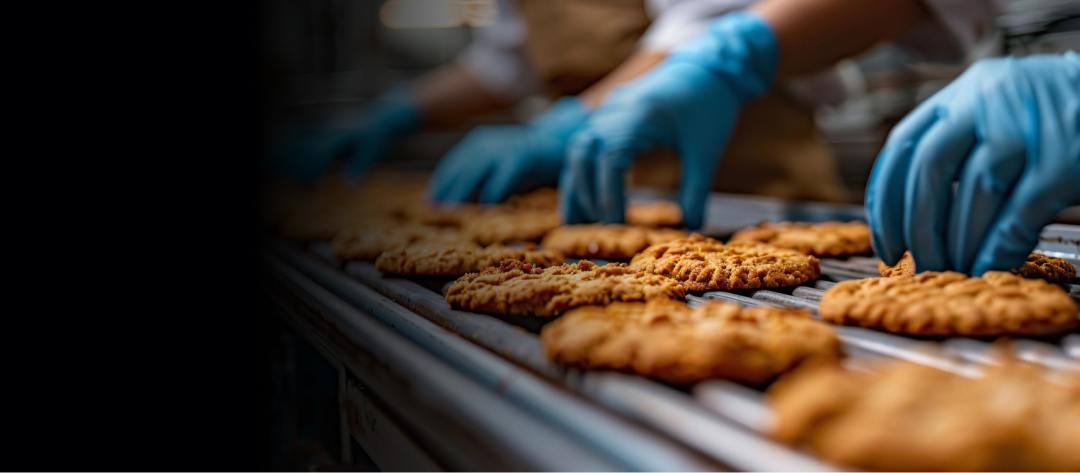  How Data Analytics Fueled 30% Sales Growth for a Biscuit Manufacturer 